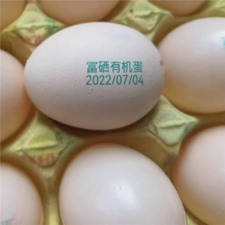 New Fully Automatic Egg Coding Machine